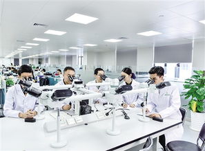 營商環(huán)境優(yōu)化 高端資源匯聚 黃埔產(chǎn)業(yè)創(chuàng)新源賦能生物技術(shù)開發(fā)